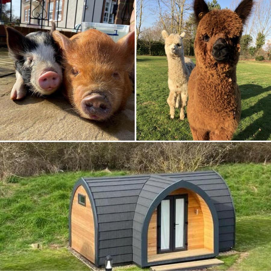 Hotel The Piggery Pod Sittingbourne Zewnętrze zdjęcie