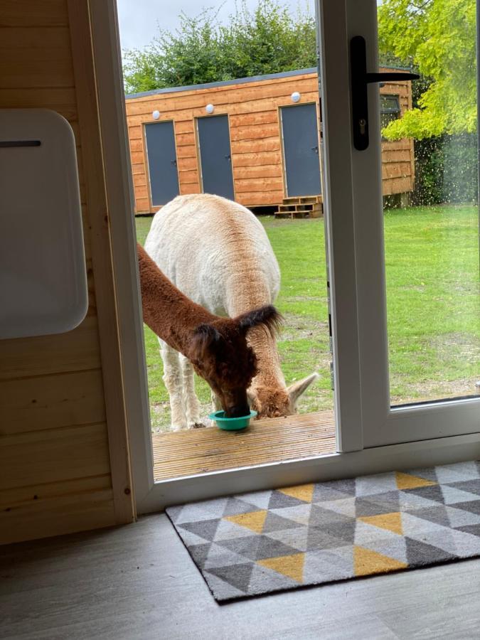 Hotel The Piggery Pod Sittingbourne Zewnętrze zdjęcie