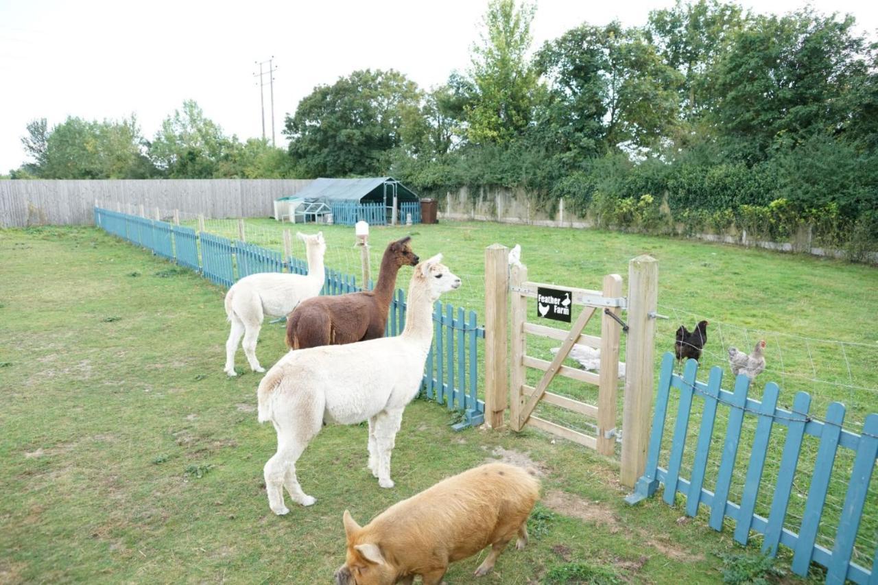 Hotel The Piggery Pod Sittingbourne Zewnętrze zdjęcie